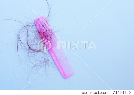 Hairs loss fall in comb on white background. 73403160