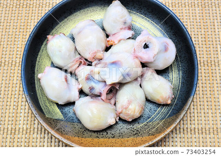 Squid kite Squid kite 73403254