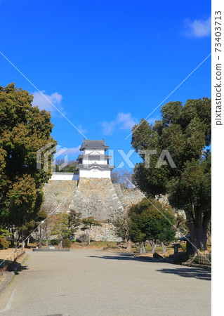 [Hyogo Prefecture] Akashi Castle under fine weather (Tatsumi Tower) 73403713