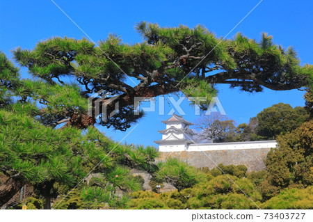 [兵庫縣]天氣晴朗的明石城（轉身） 73403727