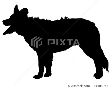 站立的dog_3的輪廓剪影 站立的dog_3的輪廓剪影 73403945