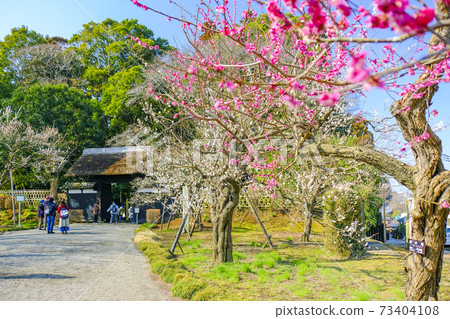 Koume and the Houbun gate 73404108