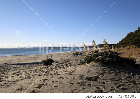 Sagara coast 73404393