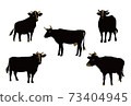 Cattle illustrations 73404945