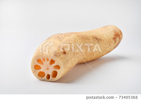 Lotus root white back 73405368