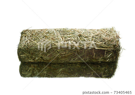fresh hay dry grass cube for domestic animals feeding, isolated on white 73405465