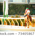 Horse racing photo 73405867