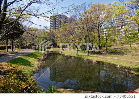 橫濱和港北新市鎮的新鮮綠化 橫濱和港北新市鎮的新鮮綠化 73406551