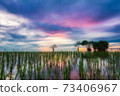 Beautiful sunrise from the lake Pakpra 73406967