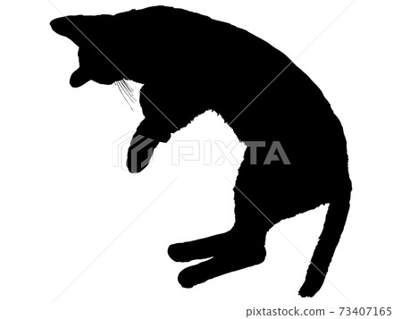Silhouette of a lying cat 73407165