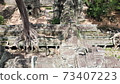 [World Heritage] Angkor archipelago, Ta Prohm in Siem Reap 73407223