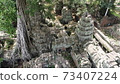 [World Heritage] Angkor archipelago, Ta Prohm in Siem Reap 73407224
