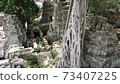 [World Heritage] Angkor archipelago, Ta Prohm in Siem Reap 73407225