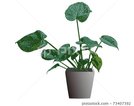 觀賞植物silhouette_7 觀賞植物silhouette_7 73407392