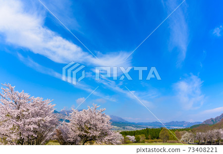 The most beautiful spring sky and cherry blossom trees in the background of Mt. Aso and Mt. Aso Godake, Japan, South Aso, Kumamoto Prefecture Spring 2020 The most beautiful spring sky and cherry blossom trees in the background of Mt. Aso and Mt. Aso Godake, Japan, South Aso, Kumamoto Prefecture Spring 2020 73408221