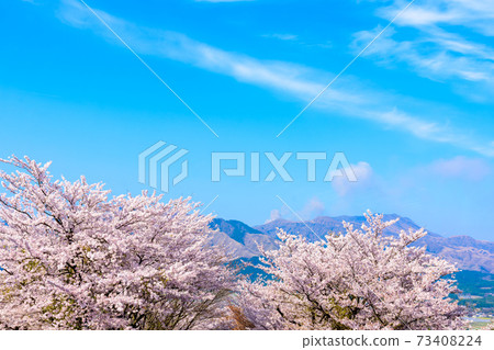 The most beautiful spring sky and cherry blossom trees in the background of Mt. Aso and Mt. Aso Godake, Japan, South Aso, Kumamoto Prefecture Spring 2020 The most beautiful spring sky and cherry blossom trees in the background of Mt. Aso and Mt. Aso Godake, Japan, South Aso, Kumamoto Prefecture Spring 2020 73408224