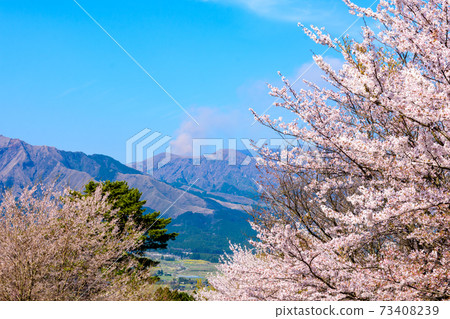 The most beautiful spring sky and cherry blossom trees in the background of Mt. Aso and Mt. Aso Godake, Japan, South Aso, Kumamoto Prefecture Spring 2020 The most beautiful spring sky and cherry blossom trees in the background of Mt. Aso and Mt. Aso Godake, Japan, South Aso, Kumamoto Prefecture Spring 2020 73408239