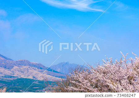 The most beautiful spring sky and cherry blossom trees in the background of Mt. Aso and Mt. Aso Godake, Japan, South Aso, Kumamoto Prefecture Spring 2020 The most beautiful spring sky and cherry blossom trees in the background of Mt. Aso and Mt. Aso Godake, Japan, South Aso, Kumamoto Prefecture Spring 2020 73408247