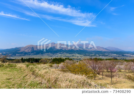 The most beautiful spring sky and cherry blossom trees in the background of Mt. Aso and Mt. Aso Godake, Japan, South Aso, Kumamoto Prefecture Spring 2020 73408290