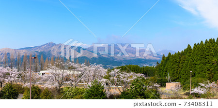 阿蘇山和日本阿蘇山哥達山背景下最美麗的春天的天空和櫻花樹,南阿蘇市2020年春季 阿蘇山和日本阿蘇山哥達山背景下最美麗的春天的天空和櫻花樹,南阿蘇市2020年春季 73408311