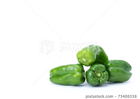 多個白色背景 73408338