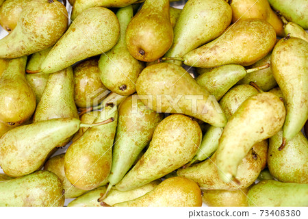 Many summer crispy delicious pears at background. Close-up view at fruit texture, healthy snack. 73408380