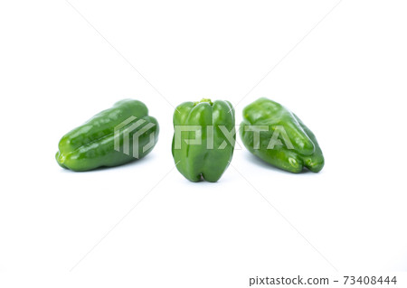 多個白色背景 73408444