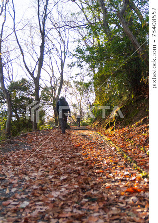 冬天的生駒山登山路 冬天的生駒山登山路 73408552