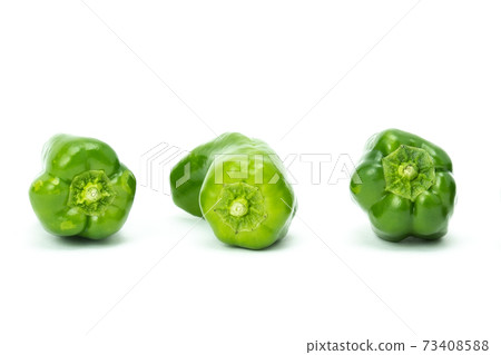 多個白色背景 73408588