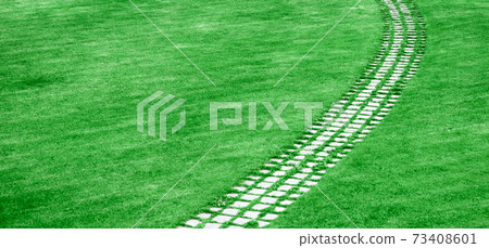 Stone pathway in the summer green with grass around. 73408601
