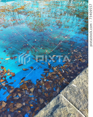 樹木倒在排水的噴泉 73409557