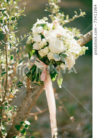 bridal bouquet of white roses, calla lilies, honeysuckle flowers, stachys and white ribbons on the olive tree bridal bouquet of white roses, calla lilies, honeysuckle flowers, stachys and white ribbons on the olive tree 73411064