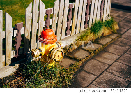 Yellow fire hydrant with red cap and silver lids. In the grass near a wooden fence. Yellow fire hydrant with red cap and silver lids. In the grass near a wooden fence. 73411201