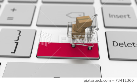 Key with flag of Poland and shopping cart with boxes, internet business related 3d rendering Key with flag of Poland and shopping cart with boxes, internet business related 3d rendering 73411300