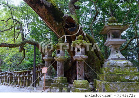 春日大社燈籠 73412722