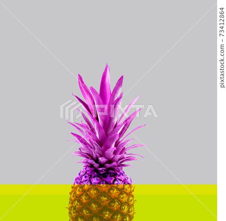 Photo pop art color pineapple on retro background Photo pop art color pineapple on retro background 73412864