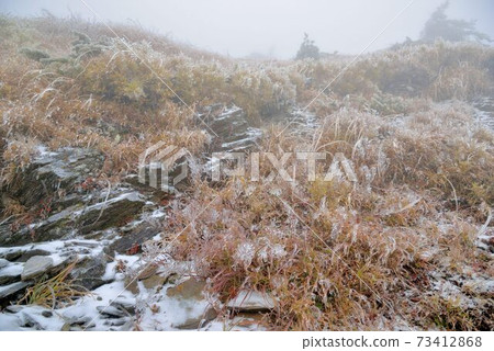 屬於亞熱帶,山上雪景,在合歡山台灣 屬於亞熱帶,山上雪景,在合歡山台灣 73412868