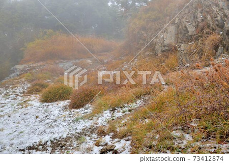 屬於亞熱帶,山上雪景,在合歡山台灣 屬於亞熱帶,山上雪景,在合歡山台灣 73412874