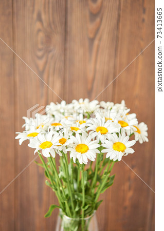 Daisy Flowers, Online