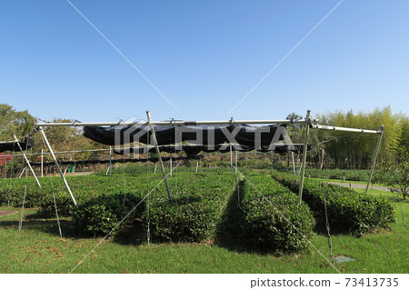 Expo'70 Commemorative Park-Chatsumi no Sato- 73413735