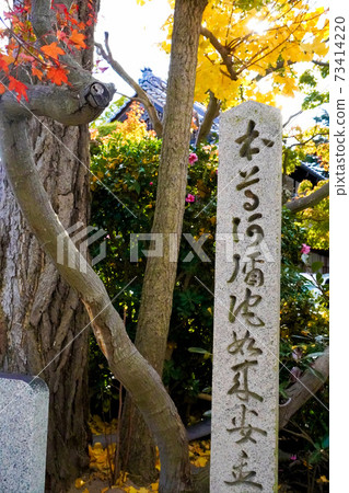 Sumadera Sumadera 73414220