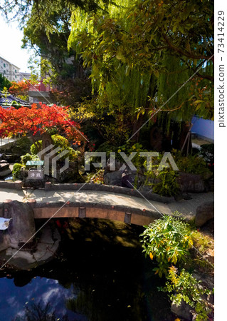 Sumadera Sumadera 73414229