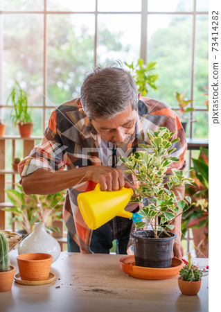 Senior Asian man is watering houseplant in his home gardening small business plant workshop. Senior Asian man is watering houseplant in his home gardening small business plant workshop. 73414282