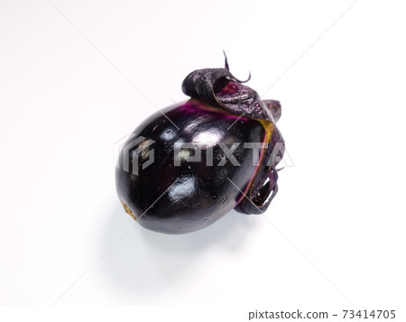 Eggplant eggplant Eggplant eggplant 73414705