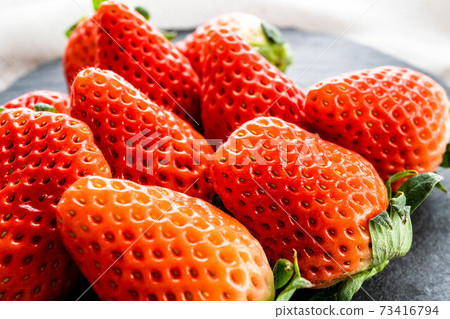 Strawberry Strawberry 73416794