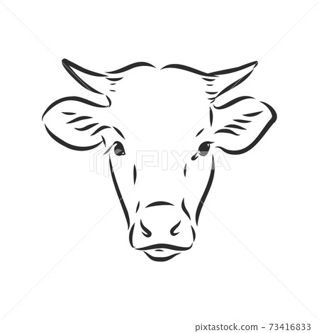 black and white linear paint draw bull vector illustration. bull vector sketch illustration black and white linear paint draw bull vector illustration. bull vector sketch illustration 73416833