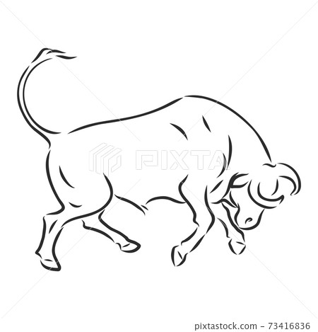 black and white linear paint draw bull vector illustration. bull vector sketch illustration black and white linear paint draw bull vector illustration. bull vector sketch illustration 73416836