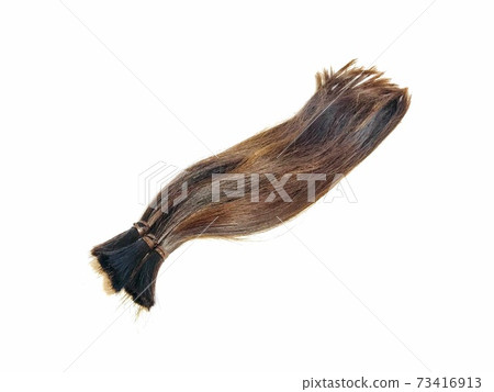 hair donation hair donation 73416913