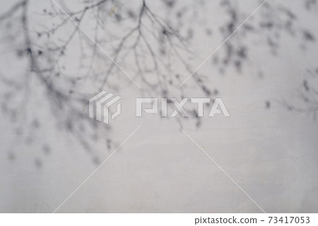 漆牆b-2-1上反射了冬天枯樹枝和樹葉的陰影 73417053