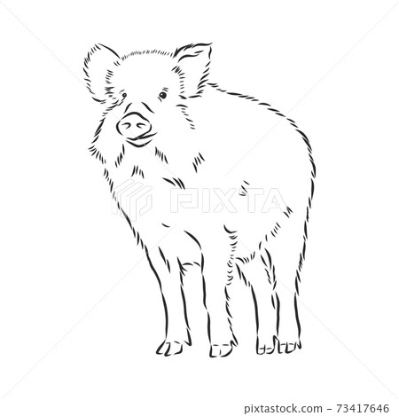 Sketch grunge wild boar in the profile.Stock vector illustration., wild boar vector sketch illustration Sketch grunge wild boar in the profile.Stock vector illustration., wild boar vector sketch illustration 73417646